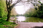 Walton Hall park, 1990s