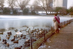 Boating Lake, Walton Hall Park, 1990s